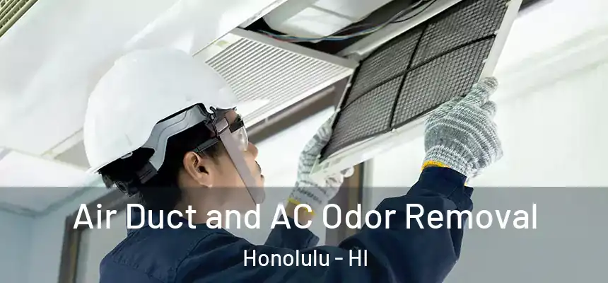 Air Duct and AC Odor Removal Honolulu - HI