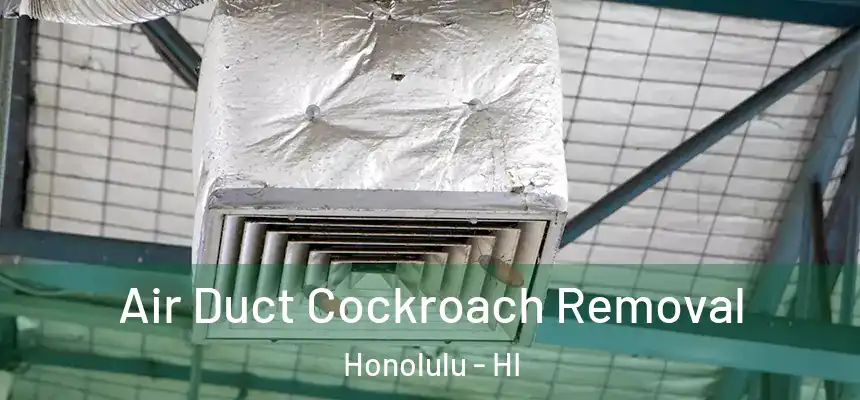  Air Duct Cockroach Removal Honolulu - HI