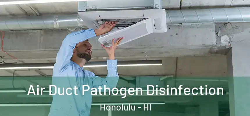 Air Duct Pathogen Disinfection Honolulu - HI