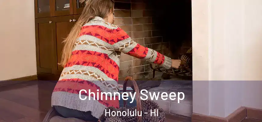 Chimney Sweep Honolulu - HI