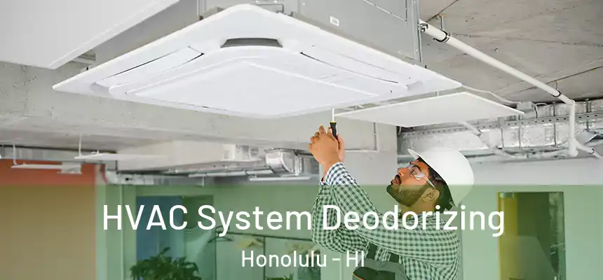 HVAC System Deodorizing Honolulu - HI