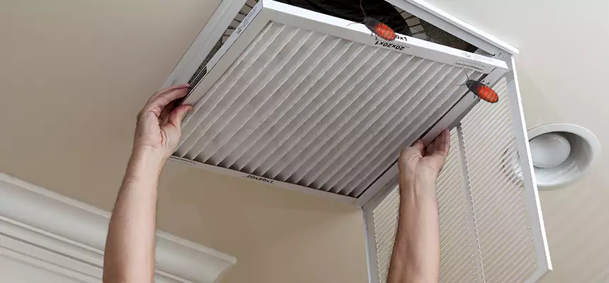Preventive Cockroach-Proofing for Ducts in Honolulu
