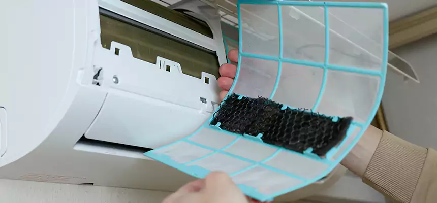 Gentle Ductwork Odor-Control Pet Dander Duct Cleaning in Honolulu, HI