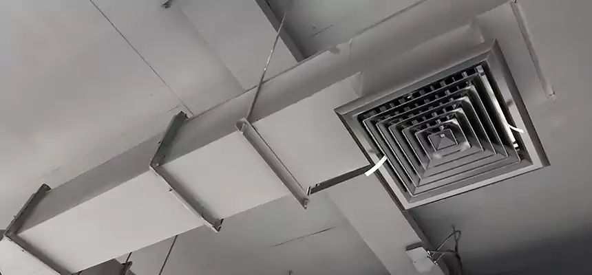 Our Rodent Droppings In Vents Services in Honolulu, HI