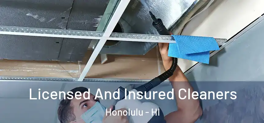 Licensed And Insured Cleaners Honolulu - HI