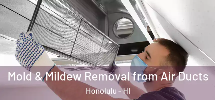 Mold & Mildew Removal from Air Ducts Honolulu - HI