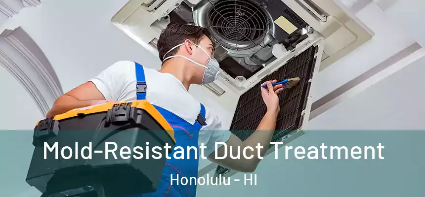  Mold-Resistant Duct Treatment Honolulu - HI
