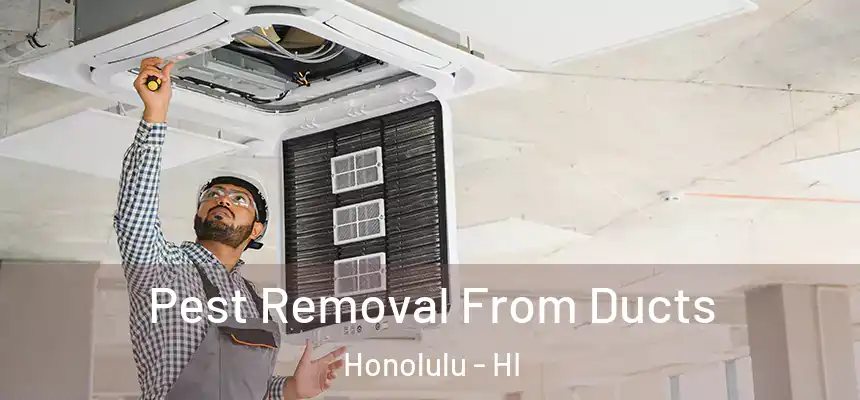 Pest Removal From Ducts Honolulu - HI