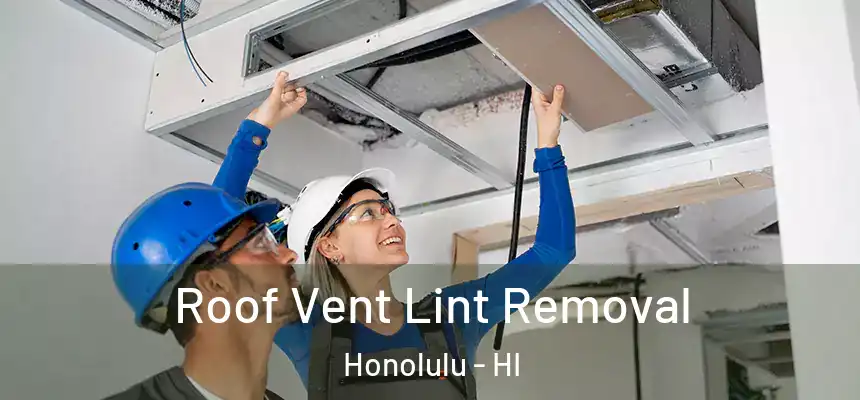 Roof Vent Lint Removal Honolulu - HI