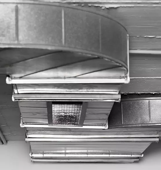 Professional Air Duct Pest Removal in Honolulu, HI