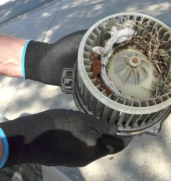 About Air Duct Rat Removal in Honolulu, HI