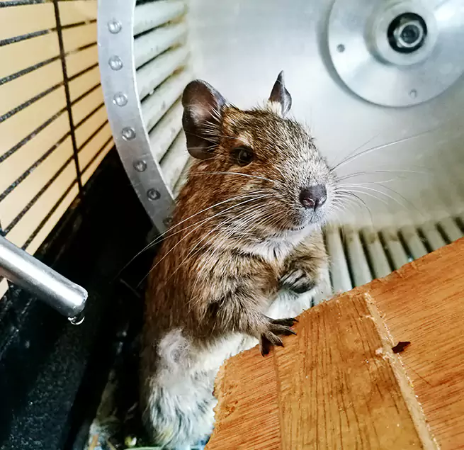 Why Homeowners & Businesses Trust Us Honolulu, HI?