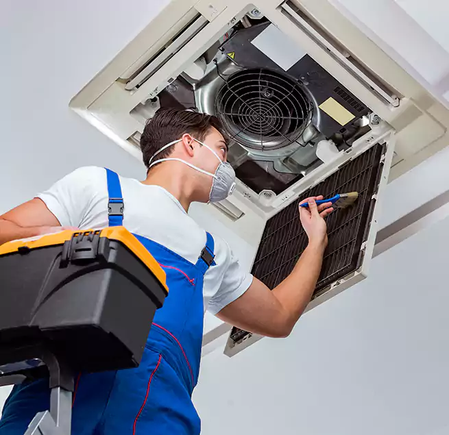 Why Homeowners & Businesses Trust Us in Honolulu, HI