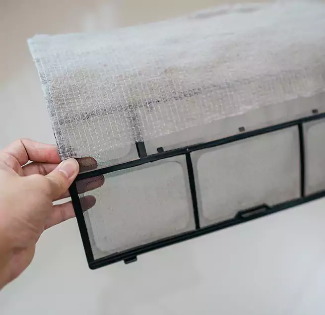 Why Homeowners & Businesses Trust Us in Honolulu, HI?