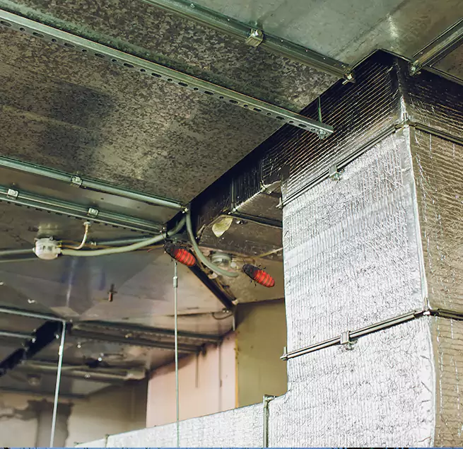 Why Homeowners & Businesses Trust Us Honolulu, HI?