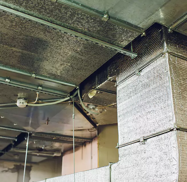 Why Homeowners & Businesses Trust Us in Honolulu, HI?