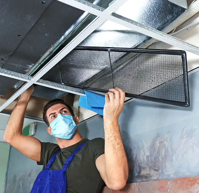 Why Homeowners & Businesses Trust Us in Honolulu, HI?