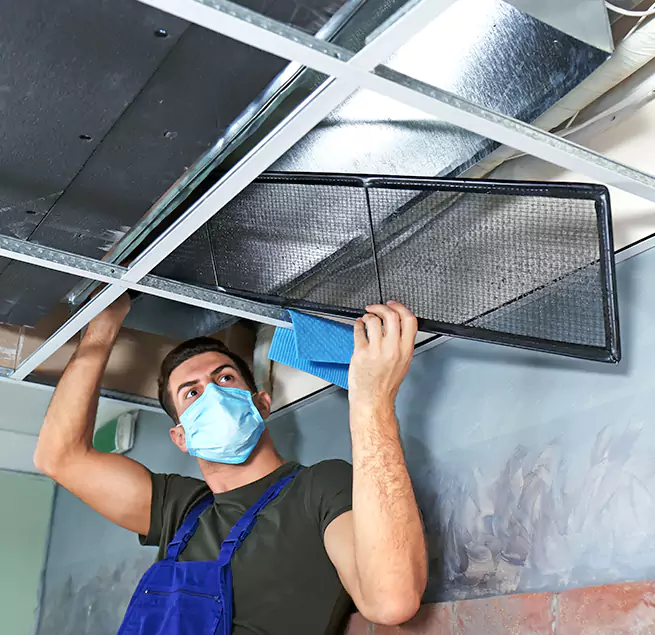 Why Homeowners Businesses Trust Us in Honolulu, HI?