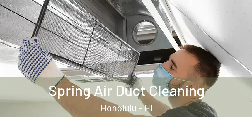Spring Air Duct Cleaning Honolulu - HI